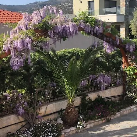 Aegean